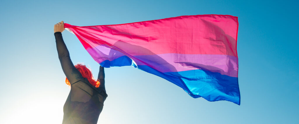 Bandera Comunidad Bisexual